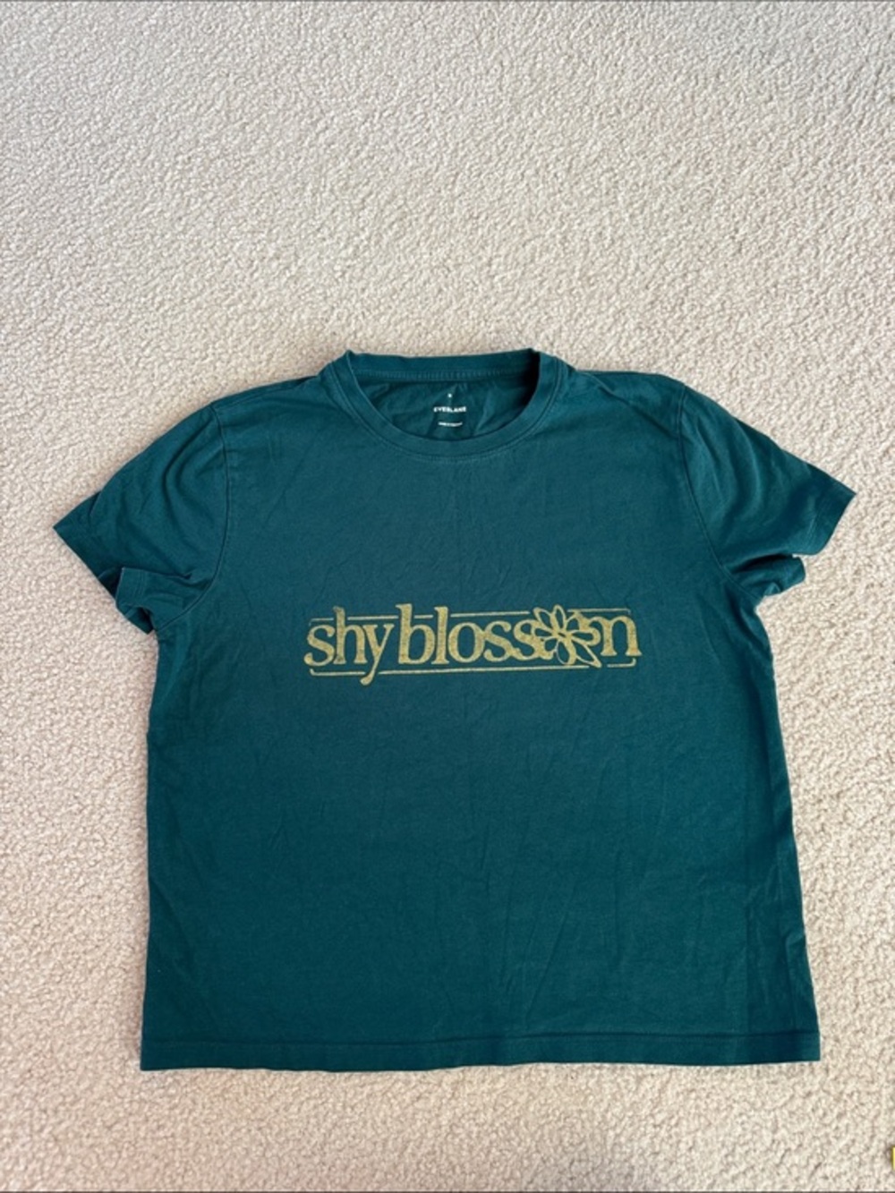 Everlane Teal Crewneck T-Shirt